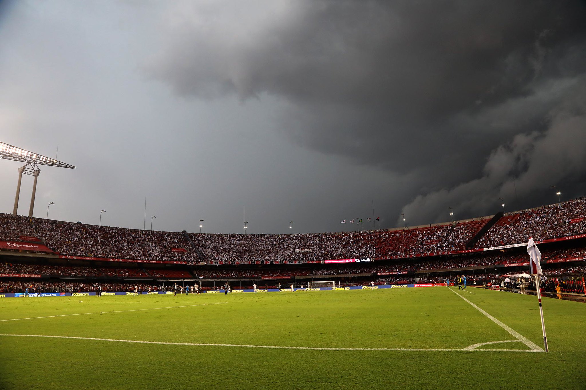 Partida entre São Paulo e Corinthians está marcada para acontecer neste domingo (27), às 16h, no estádio Morumbi, pela semifinal do estadual